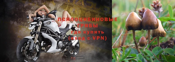 таблы Абинск